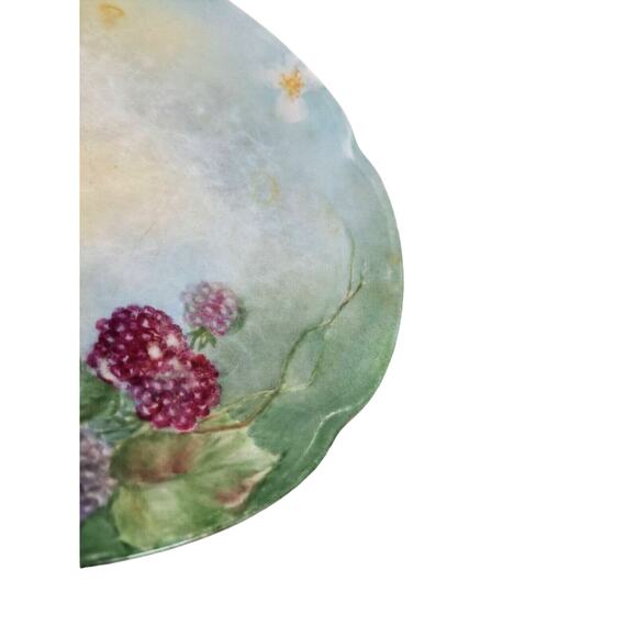 Antique J&C Louise Bavaria 1898-1923 Raspberry Black Berry Fruit Blossom Plate - Picture 7 of 12
